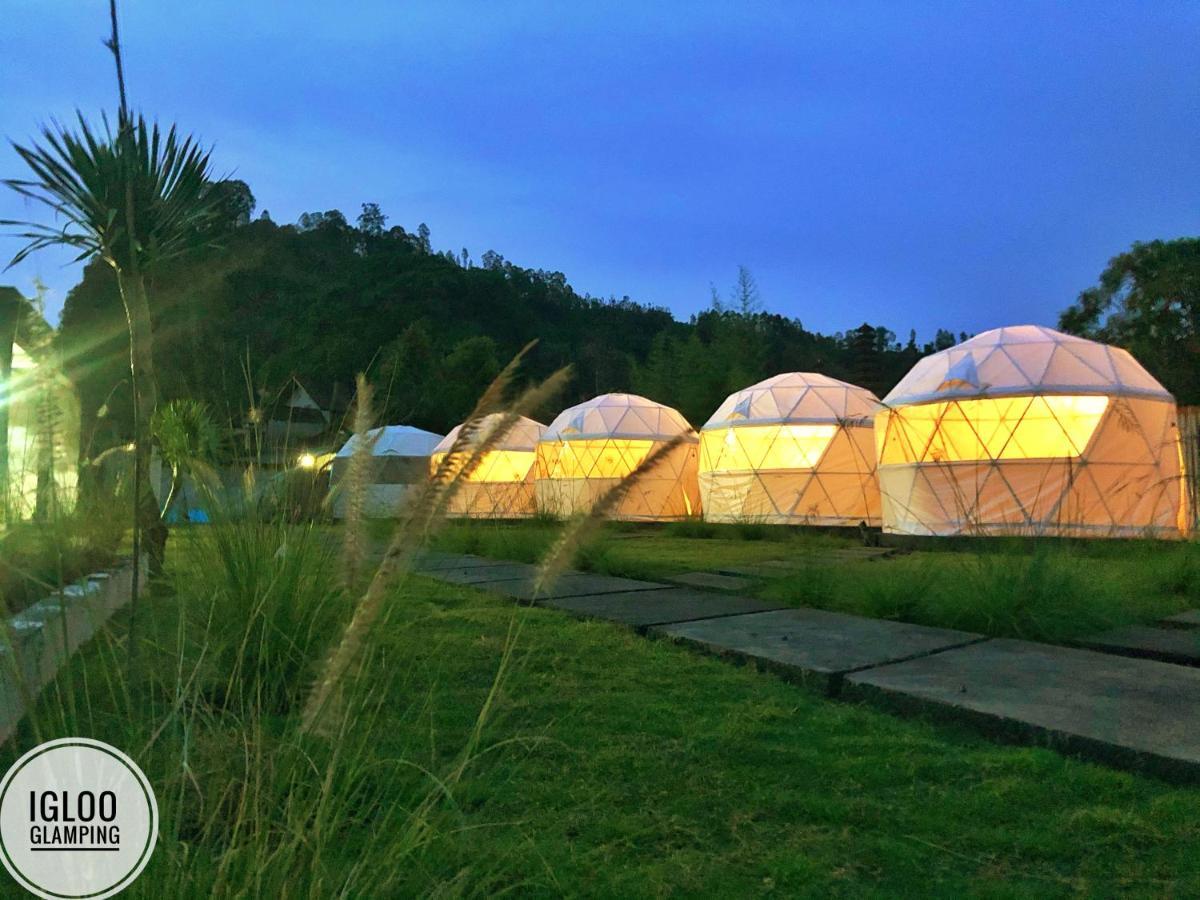 Igloo Glamping Bali Hotel Kintamani  Luaran gambar