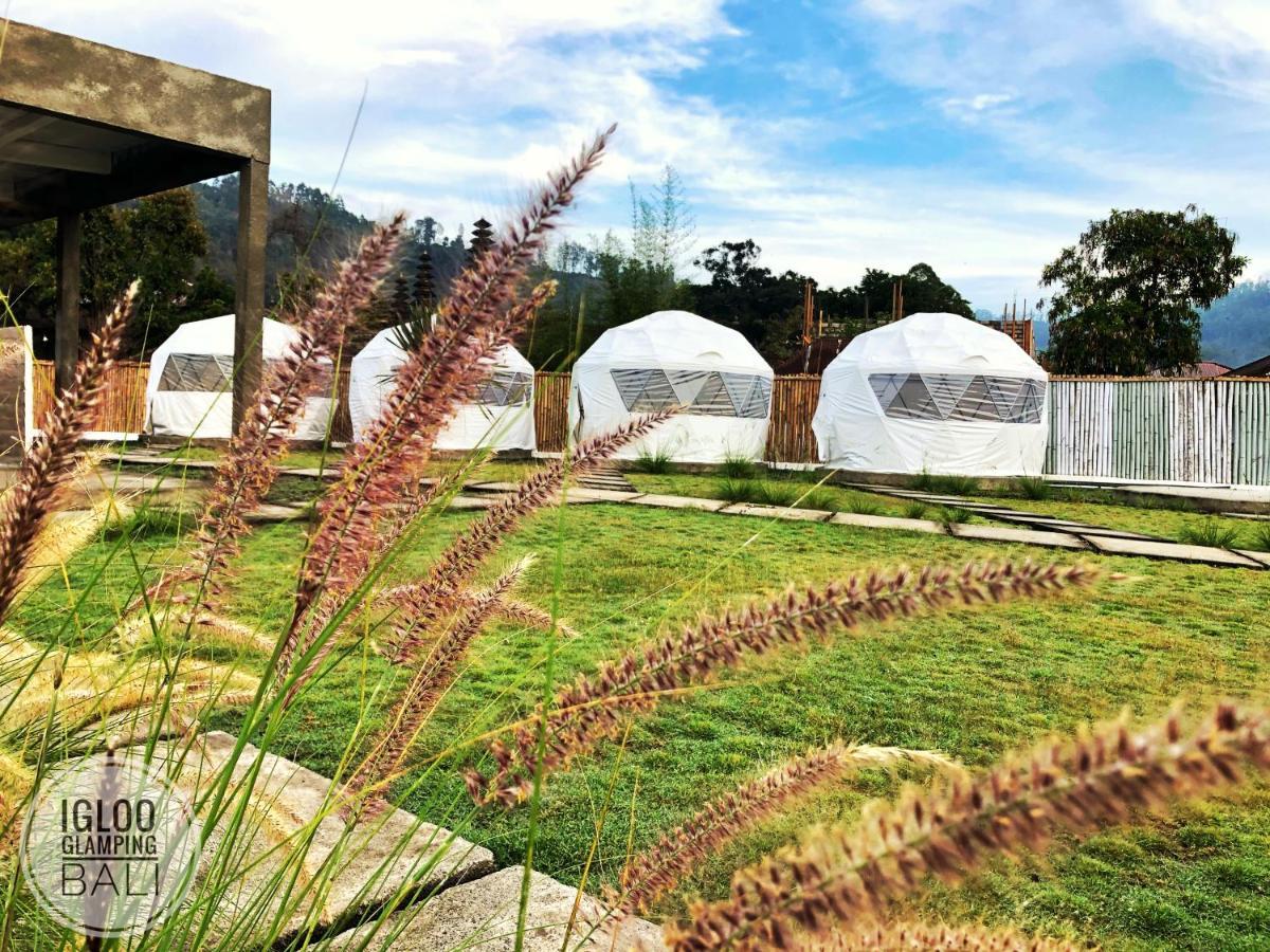Igloo Glamping Bali Hotel Kintamani  Luaran gambar